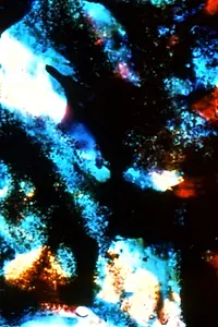 Постер к фильму «Micro-Garden (2002)»
