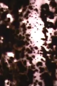 Постер к мультфильму «Jakob (1998)»