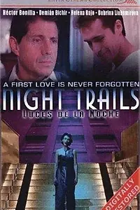 Главный постер фильма «Ночные огни (1998)»