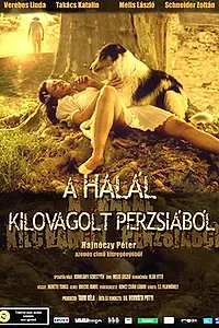 Постер к фильму «Смертельные трудности в Персии (2004)»