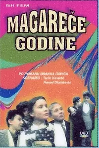 Главный постер фильма «Magarece godine (1994)»