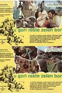 Постер к фильму «Назови пароль! (1971)»