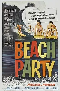 Постер к фильму «Пляжные тусовщики (1963)»