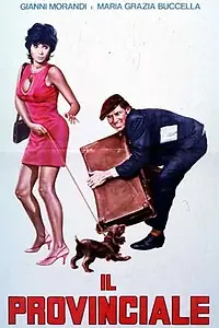 Постер к фильму «Il provinciale (1971)»