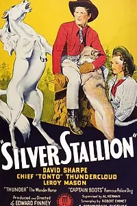 Главный постер фильма «Серебряный жеребец (1941)»