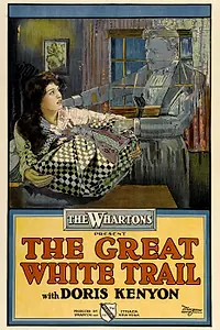 Постер к фильму «The Great White Trail (1917)»