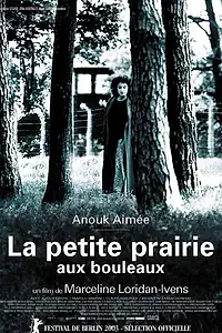 Постер к фильму «Березовый луг (2003)»