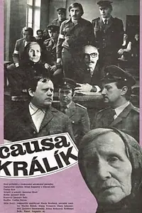 Главный постер фильма «Дело кролика (1979)»