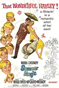 Главный постер фильма «Летняя магия (1963)»