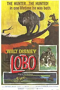 Главный постер фильма «Легенда о Лобо (1962)»