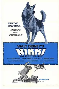 Постер к фильму «Дикий пес Севера (1961)»