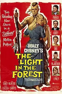 Главный постер фильма «Свет в лесу (1958)»