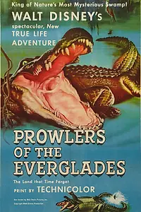 Постер к фильму «Prowlers of the Everglades (1953)»