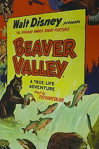 Постер к фильму «Бивер Вэлей (1950)»