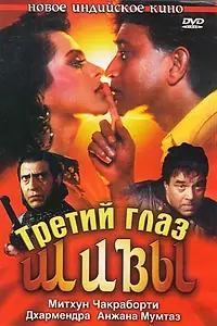 Главный постер фильма «Третий глаз Шивы (1991)»