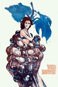 Главный постер фильма «Wild Harvest (1962)»