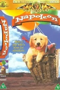 Постер к фильму «Napoleon (1994)»