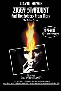 Постер к фильму «Зигги Стардаст и пауки с Марса (1979)»