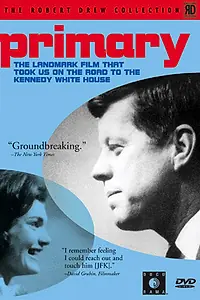 Постер к фильму «Предварительные выборы (1960)»