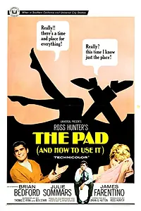 Главный постер фильма «Квартира (и как ее использовать) (1966)»