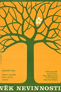 Постер к фильму «Эпоха невинности (1977)»