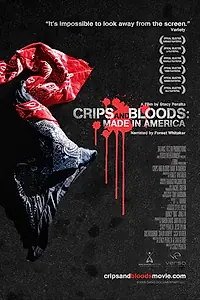 Постер к фильму «Сделано в Америке (2008)»