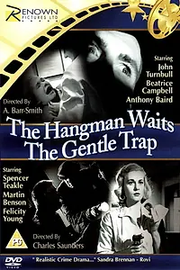 Главный постер фильма «The Gentle Trap (1960)»