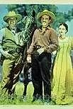 Постер к фильму «The Round Up (1941)»