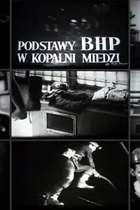 Главный постер фильма «Основы охраны труда на медном руднике (1972)»