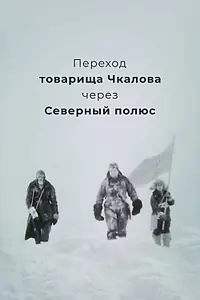 Главный постер фильма «Переход товарища Чкалова через Северный полюс (1990)»