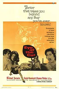 Главный постер фильма «Глаз кота (1969)»