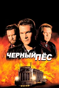 Главный постер фильма «Черный пес (1998)»