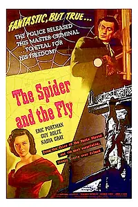 Постер к фильму «Паук и муха (1949)»