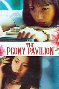 Постер к фильму «Wo de mei li yu ai chou (1995)»
