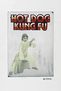 Главный постер фильма «Почерк кунг-фу (1979)»