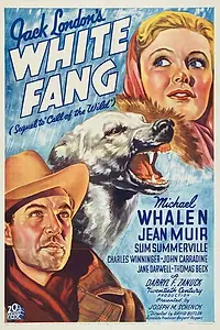 Постер к фильму «Белый клык (1936)»