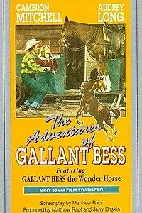 Главный постер фильма «Adventures of Gallant Bess (1948)»