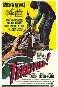 Главный постер фильма «Наводящий ужас (1962)»