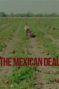 Главный постер фильма «Le Deal mexicain (1980)»