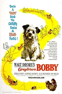Главный постер фильма «Бобби из Грейфраерса: Правдивая история (1961)»