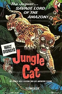Постер к фильму «Дикая кошка джунглей (1960)»