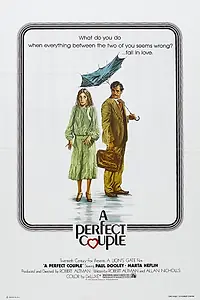 Главный постер фильма «Идеальная пара (1979)»