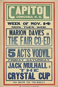 Главный постер фильма «The Fair Co-Ed (1927)»