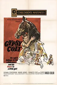 Главный постер фильма «Цыганский Кольт (1954)»