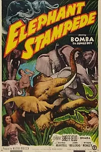 Постер к фильму «Elephant Stampede (1951)»