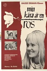 Главный постер фильма «Цветок розы — моя любовь (1963)»