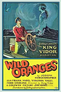 Постер к фильму «Дикие апельсины (1924)»