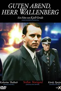Постер к фильму «Добрый вечер, господин Валленберг (1990)»