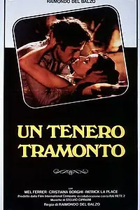 Главный постер фильма «Нежный закат (1984)»