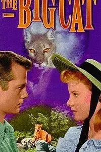 Постер к фильму «The Big Cat (1949)»